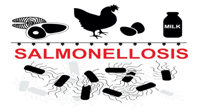 Salmonella infections studied in New Zealand

