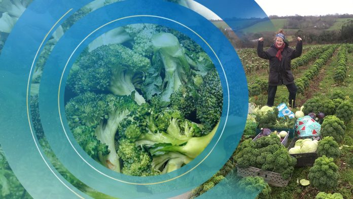 Cornwall Gleaning Network has rescued nearly 50,000 tonnes of food