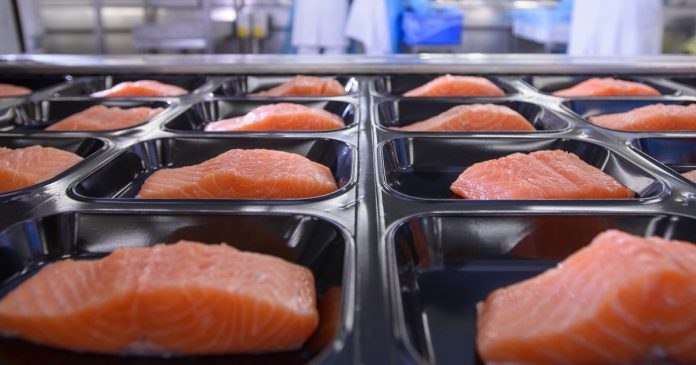 Scottish food processing businesses face high staff turnover challenge
