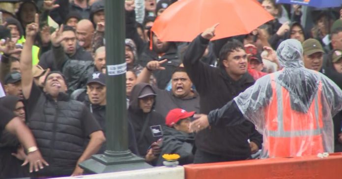 James Blunt music played to deter Parliament protesters
