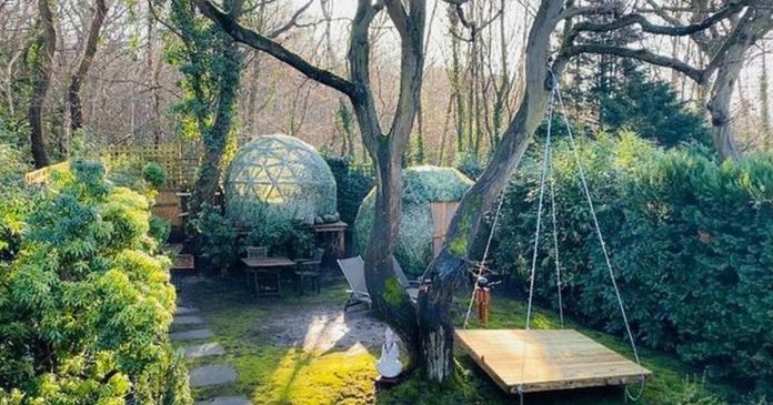 £750 a month to live in plastic dome in landlord's back garden - but there's no kitchen or loo
