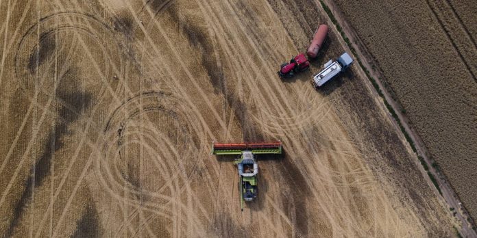 How Next Year's Food Crisis Will Be Different From This Year's
