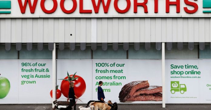 Woolworths to take 55% stake in pet food retailer Petspiration for $401 mln
